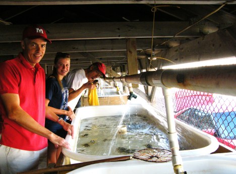 Bruce, Holly and Tom checking out the crabs tanks.