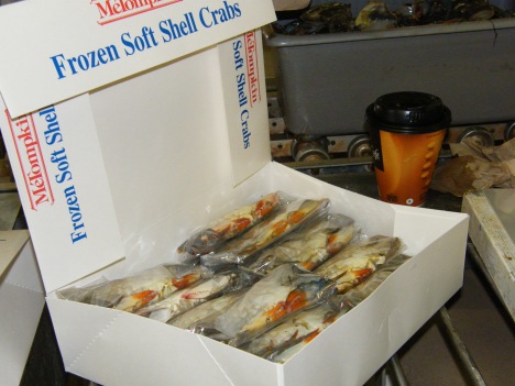 Softshell crabs getting nicely wrapped and packaged